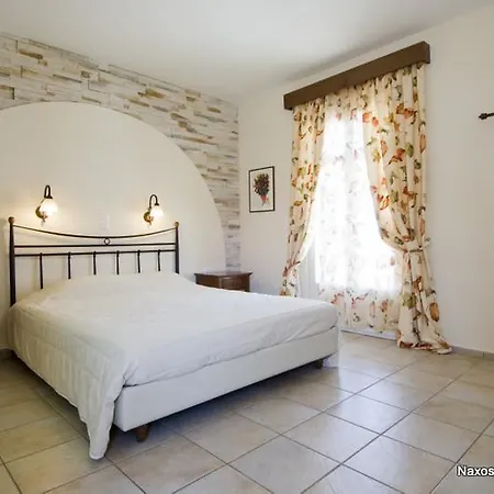 Naxos Palace Hotel