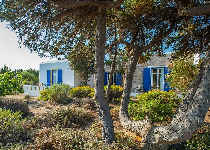 Naxos Palace Stelida (Naxos)