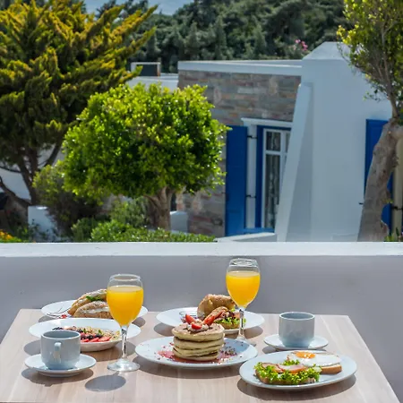 Ξενοδοχείο Naxos Palace 4*