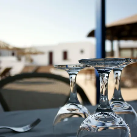 Naxos Palace 4* Στελίδα