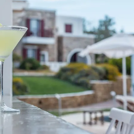 Hotel Naxos Palace 4*