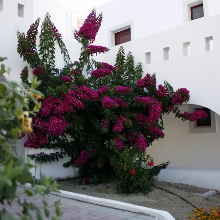 Naxos Palace Hotel Stelida (Naxos)