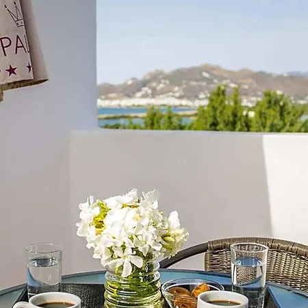 Naxos Palace Hotel 4*