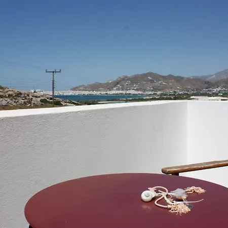Naxos Palace 4* Stelida (Naxos)