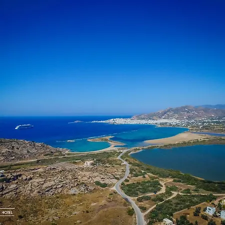 Ξενοδοχείο Naxos Palace 4*