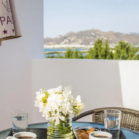 Naxos Palace